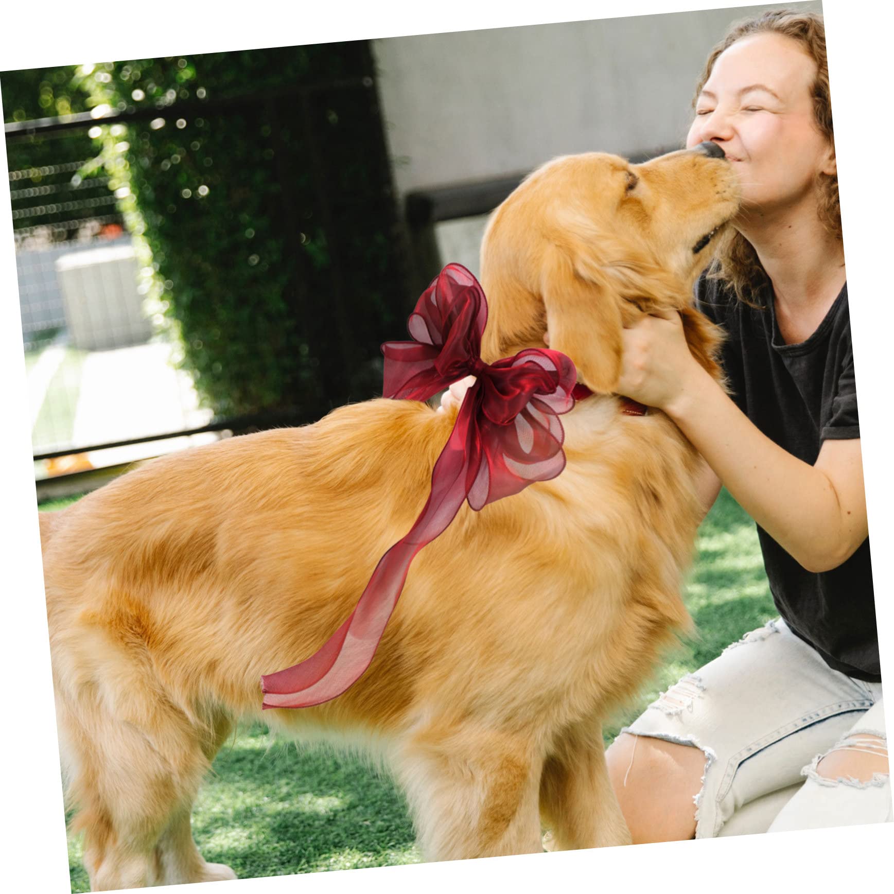 Happyyami Collier Réglable pour Chat Et Chien avec Nœud Décoratif Accessoire Adorable pour Fête Et Séance Photo