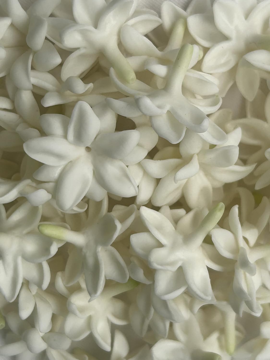 50 PCS White Blooming Jasmine Pikake (02) Flower Clay Beads for Jewely Making DIY Craft Supplies