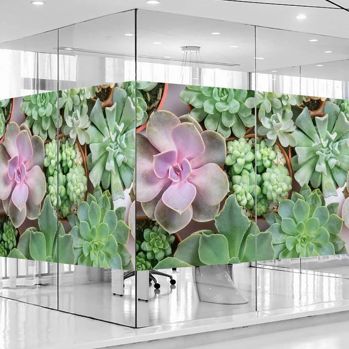 Green Window Privacy Film See Out Not in One Way, Sun