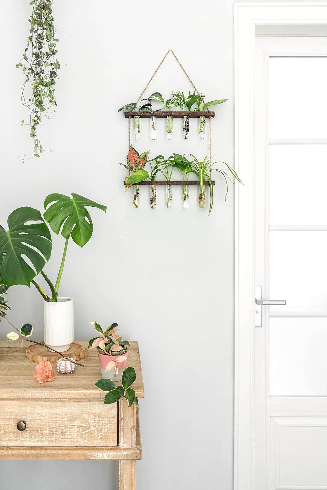 Amazon.com: Mkono Plant Propagation Tubes, 2 Tiered Wall Hanging