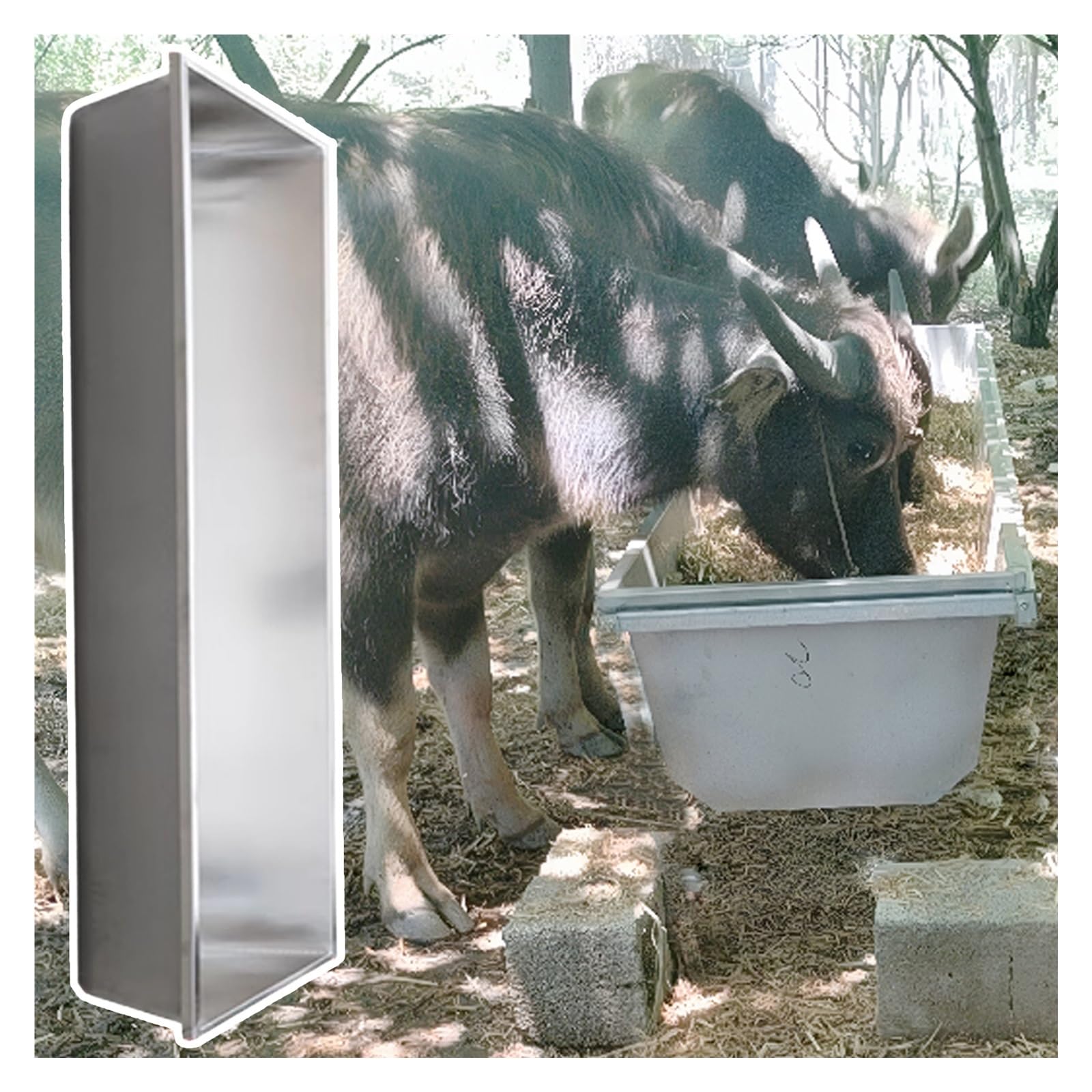 Mangeoires pour bétail ultra résistantes avec finitions durables pour enclos extérieurs