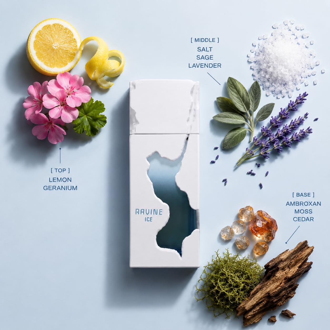 عطر رافين ايس من فرينش افينيو برائحة الحمضيات المنعشة للرجال، 100 مل - روائح الليمون واللافندر والامبروكسان صورة المنتج 2