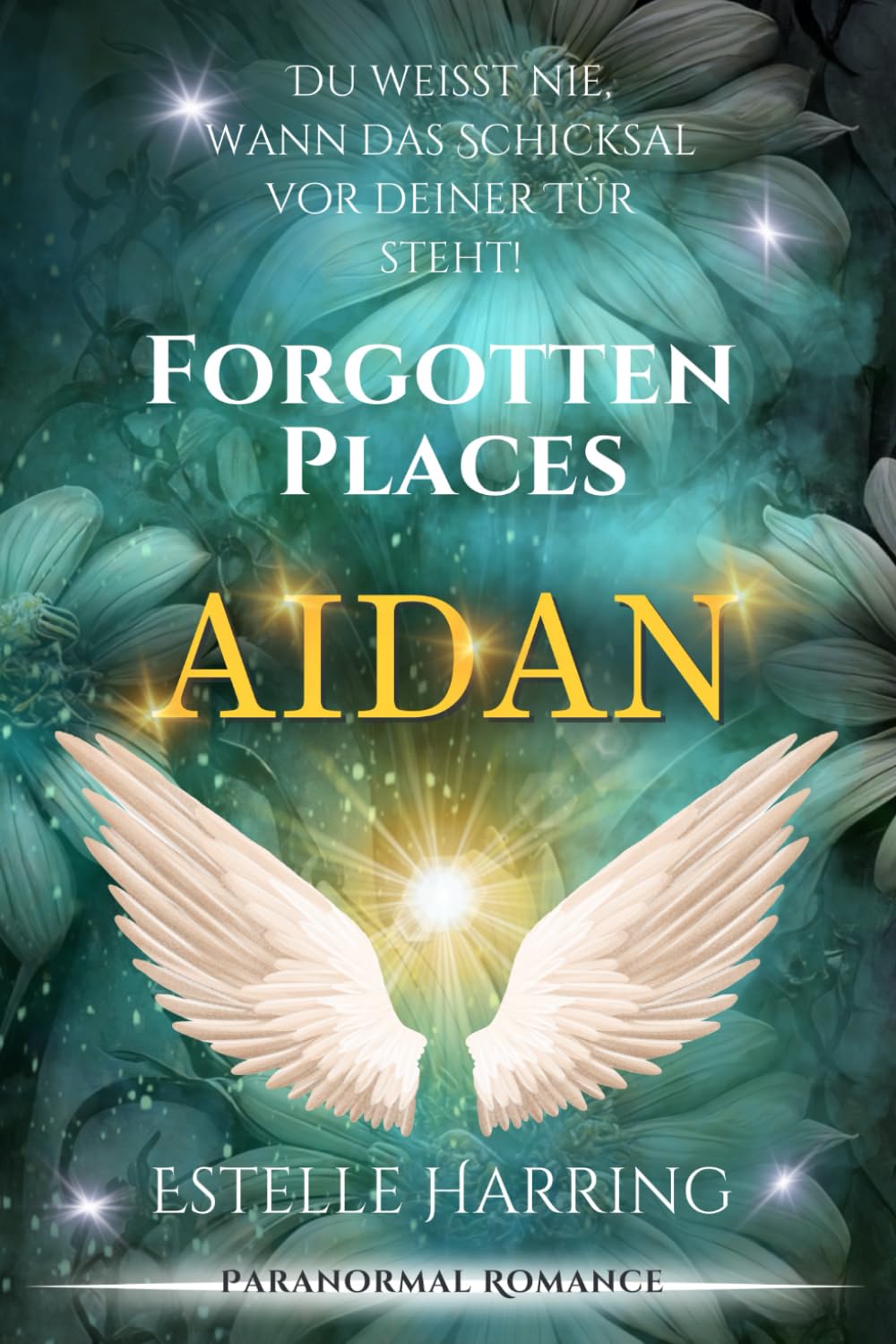 Forgotten Places: Aidan: (Band 4) (Forgotten Places Staffel 1 - Der Anfang)