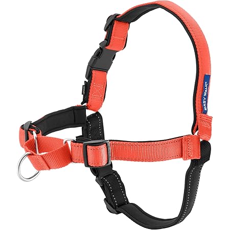 dog walking harness amazon