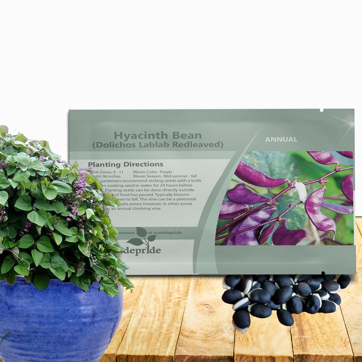 Outsidepride Red Lablab Hyacinth Bean Vine Seeds - 100 Pcs Perennial, Fast Growing Vegetable Seeds for Planting with Fragrant Foliage for Garden & Edible Flower and Pods for Culinary Uses
