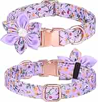 Amazon.com : Serijoars Cute Girl Dog Collars for Small