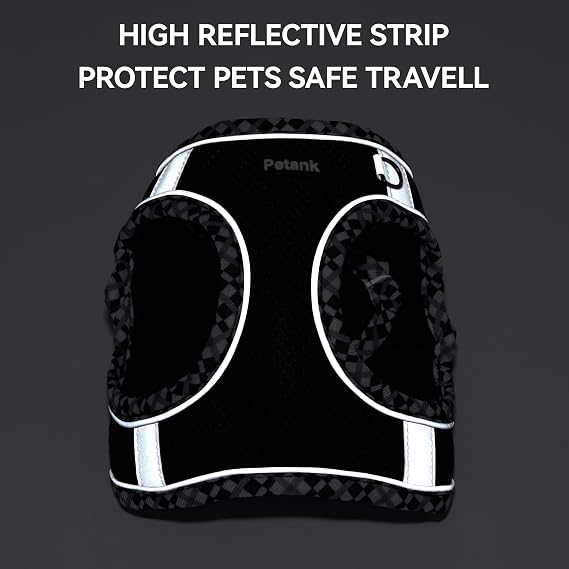 Petank Step in Dog Harness No Pull and Leash for Small Medium Dogs Cats.