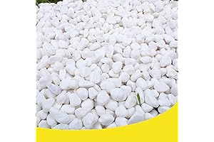 CJGQ White Rocks Decorative Pebble River Stone 18lb for Garden, Landscaping