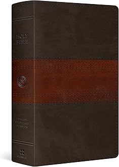 ESV Large Print Personal Size Bible (Trutone, Forest/Tan, Trail Design)
