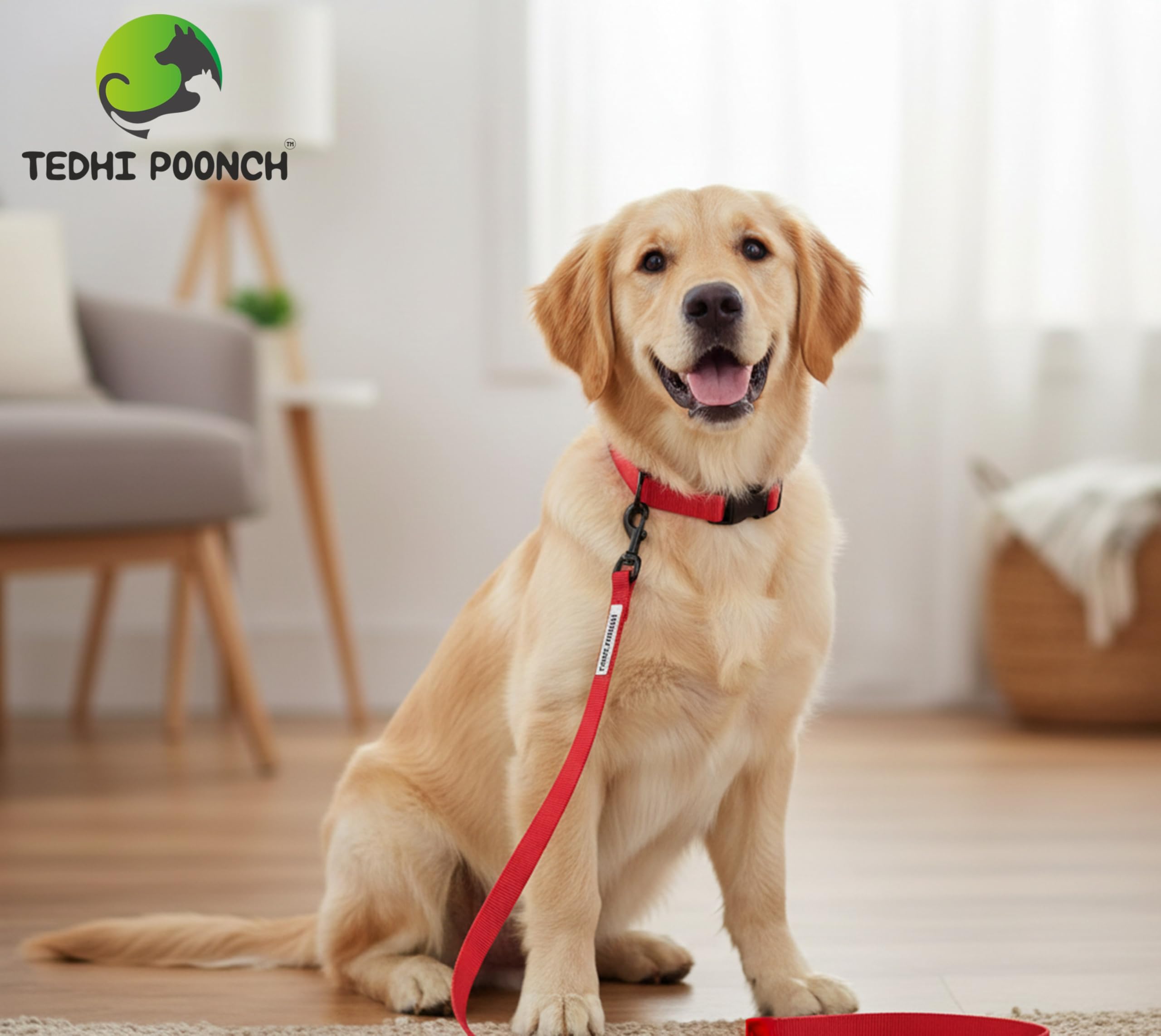 TEDHI POONCH Tarbooj Premium Long Length Durable Sturdy Training Leash-with Soft Padded Handle- for Dogs and Puppies | Red | Medium 3