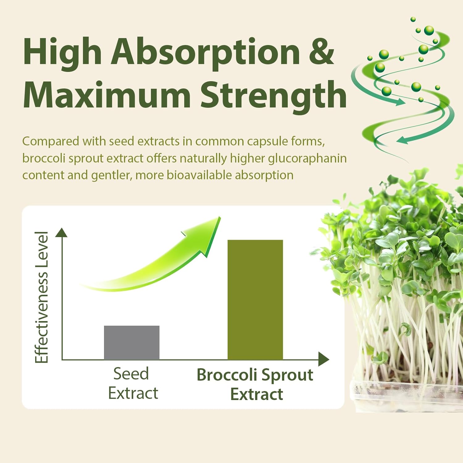 Sulforaphane Supplement from Broccoli Sprouts | NRF2 Activation, Antioxidant & Detox Support | Broccoli Sprout Powder for Myrosinase and Glucoraphanin | Vegan, High Absorption | 30 Servings - Image 6