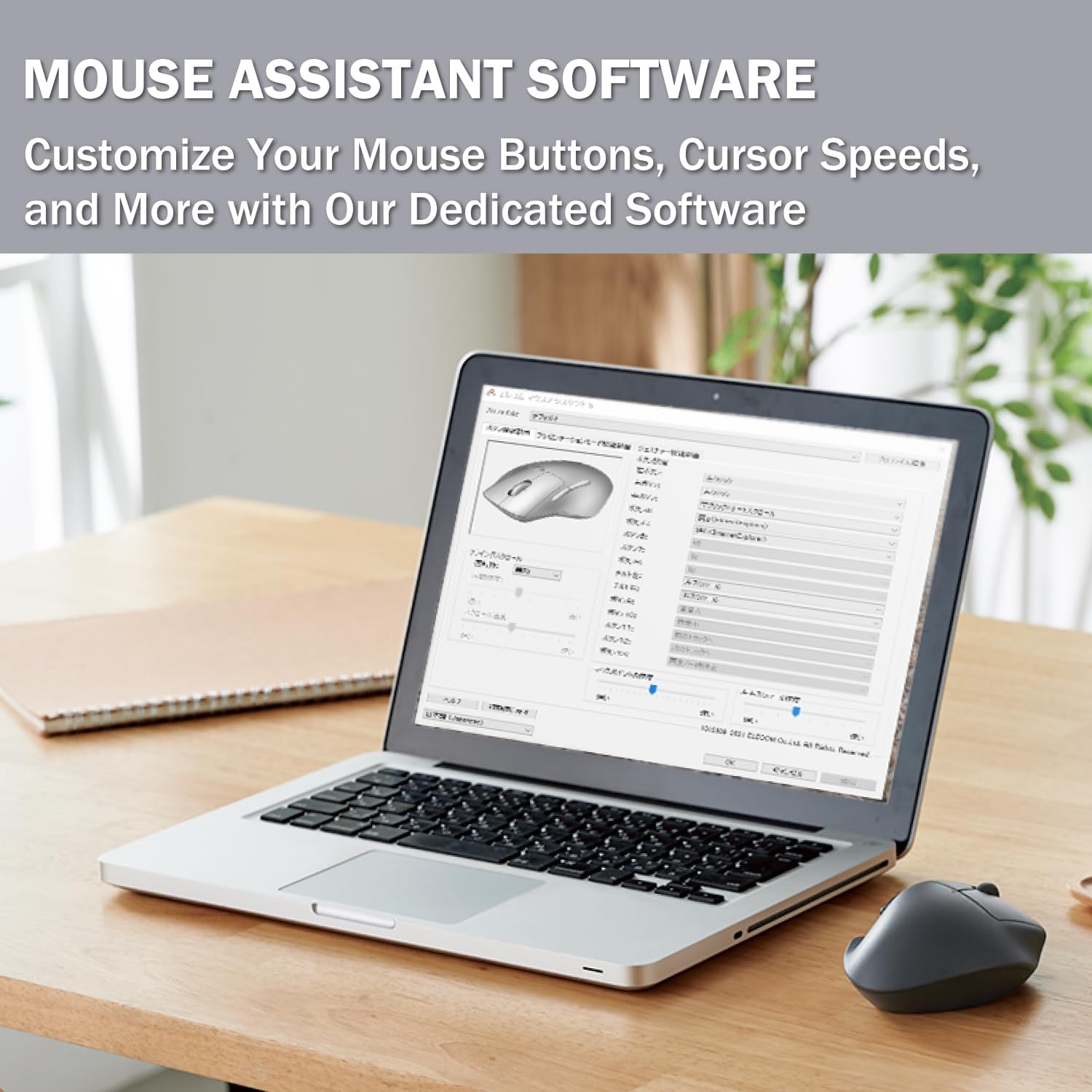 Mouse Assistant Software