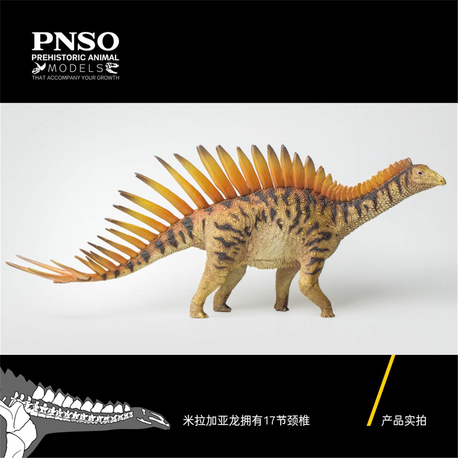 Amazon | PNSO 恐竜大王 先史時代の動物 39 ミラガイア Miragaia