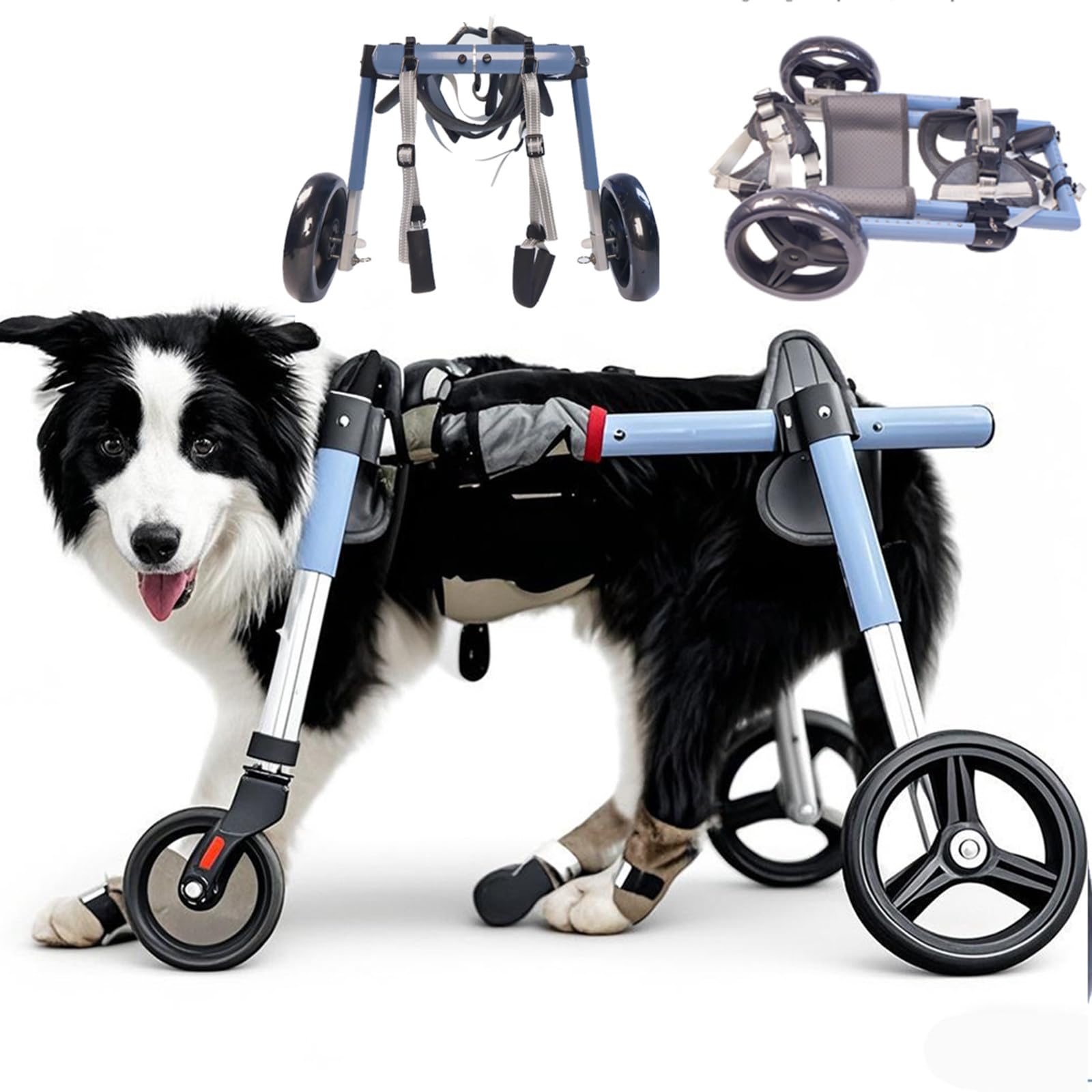 Silla de ruedas para perros medianos con soporte trasero para discapacidad motriz