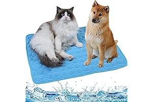 Summer Dog Cooling Mat: Keeping Your Canine Cool and Comfy