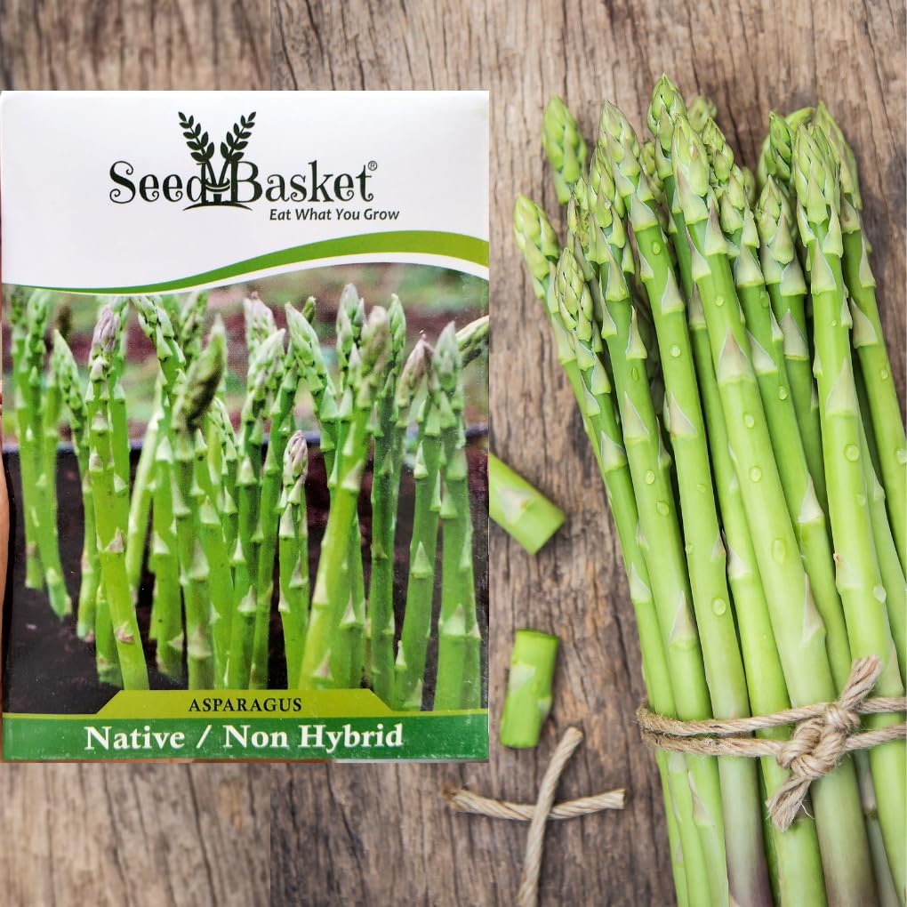 Seed basket ASPARAGUS Seeds for Home Kitchen and Vegetable Gardening | 50 Seeds | Best in Germination | Free Growing Instruction Manual (B09SGJCK2V) Amazon Price History, Amazon Price Tracker