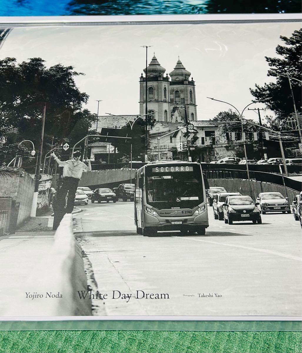 野田洋次郎 限定 ポスター B White Day Dream RADWIMPS illionの