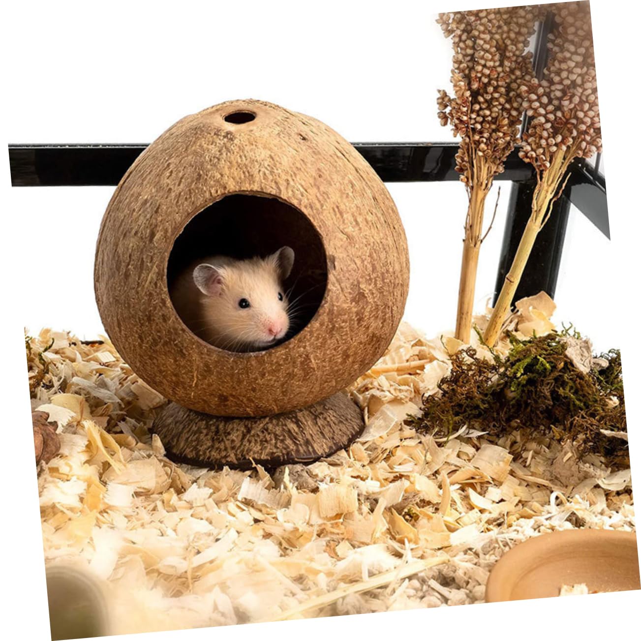 PRETYZOOM 4 Juegos Juguete Nido De Hámster Casa Hamster Casa De Hamster Adorable De Ratas Jaula De Conejillo De Indias Jaula De Hámster Cascara De Brown 2 Piezas * 4
