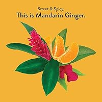 Vista 2 de Choice Organics - Té orgánico de jengibre mandarina (paquete de 1) - Té de hierbas orgánicas - 16 bolsas de té