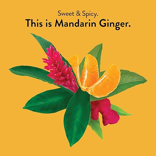 Miniatura 2 de Choice Organics - Té orgánico de jengibre mandarina (paquete de 1) - Té de hierbas orgánicas - 16 bolsas de té