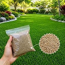 50,000 Zoysia Emerald Grass Seeds for Lawn, Zoysia Grass Seeds