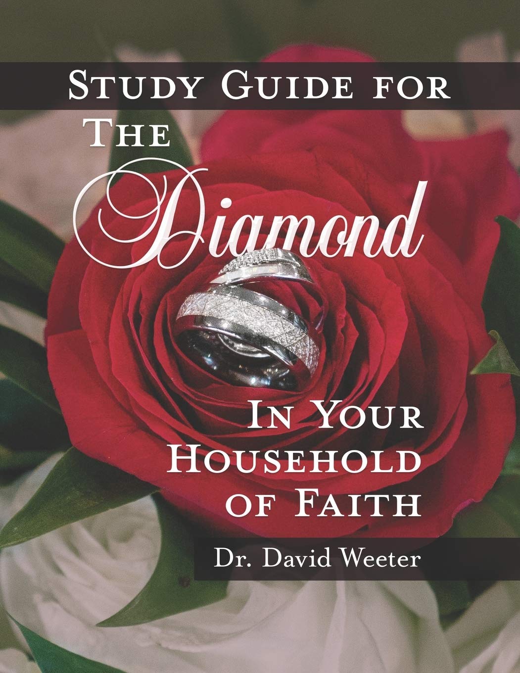 Study Guide for the Diamond in Your Household of Faith