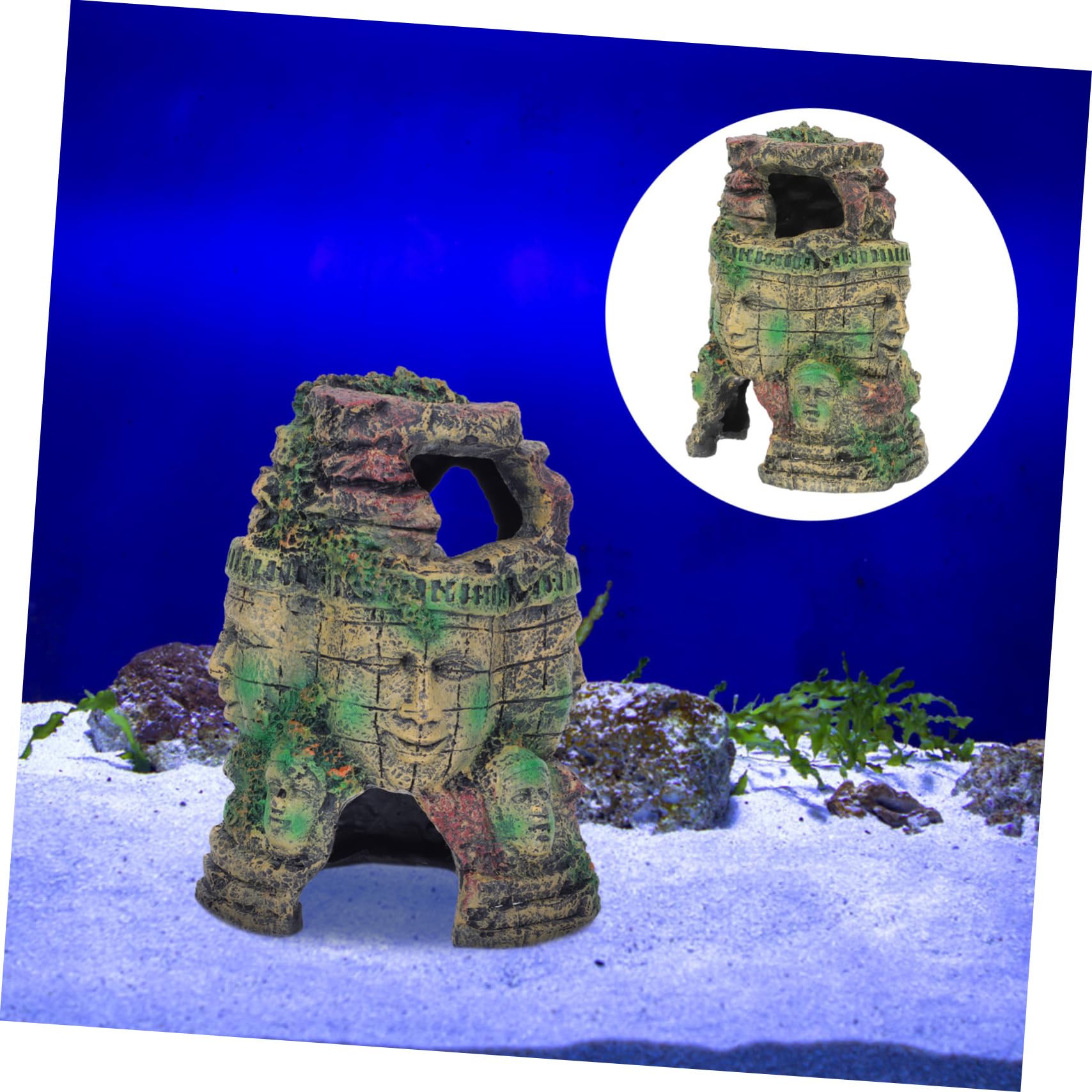Decoración Natural para Terrarios De Reptiles De Premium para Serpientes y Arañas Accesorio para Acogedores Hábitats Terrestres