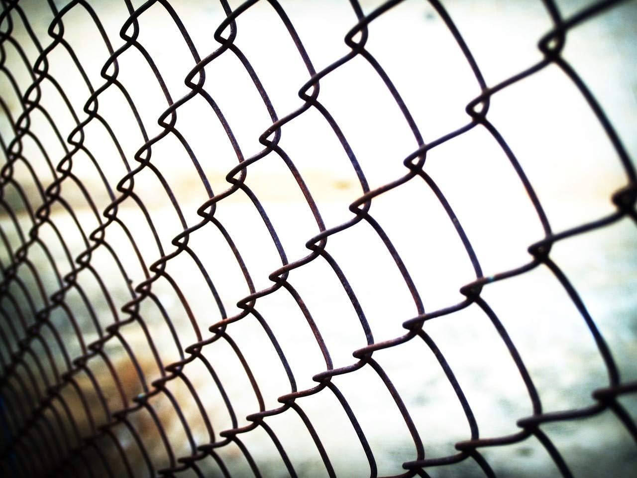 4' X 50' Black Coated 9ga Chain Link