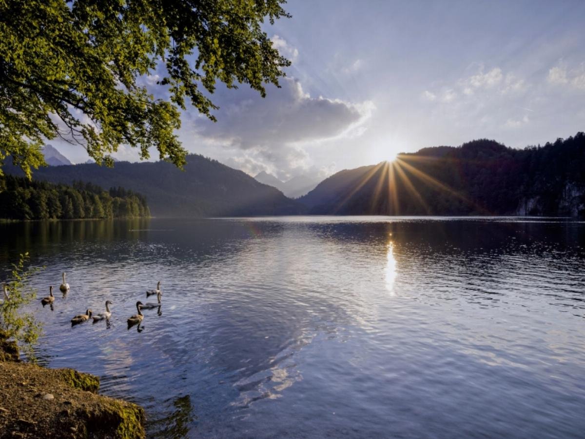CALVENDO Puzzle Alpsee Immenstadt – 1000 Teile, 64x48 Cm, Premium-Qualität Aus Europa