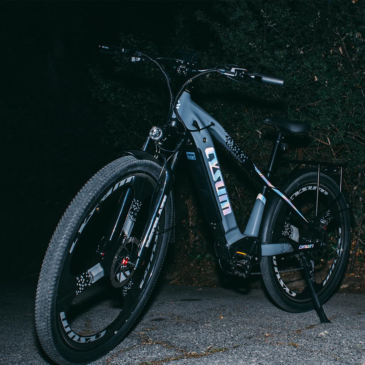 Speedy Vélo électrique adulte, 29'' VTT électrique homme femme, batterie lithium 48v 15Ah, moteur 250W 25km/h, autonomie 100-120km, frein à disque hydraulique,7 vitesses,E-Mountainbike (Pouces, 29)