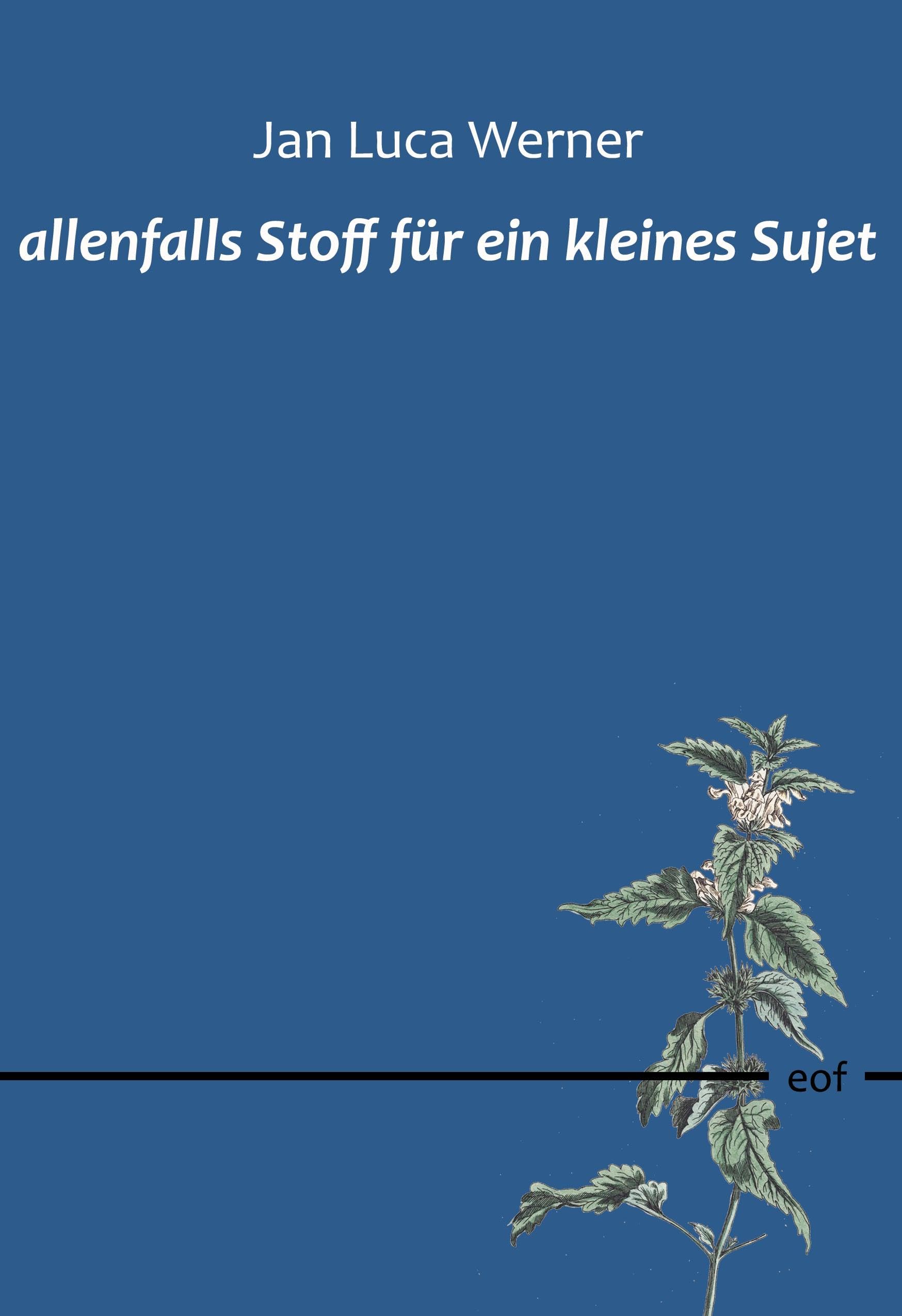 allenfalls Stoff für ein kleines Sujet: Gedichte (edition offenes feld)