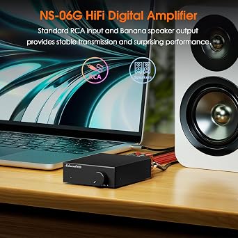 Nobsound 2-Channel Mini Stereo Amplifier: 60W x 2 HiFi Class D Amp with TPA3116 & 19V Power Adapter for Home Theater & Bookshelf Speakers (NS-06G)