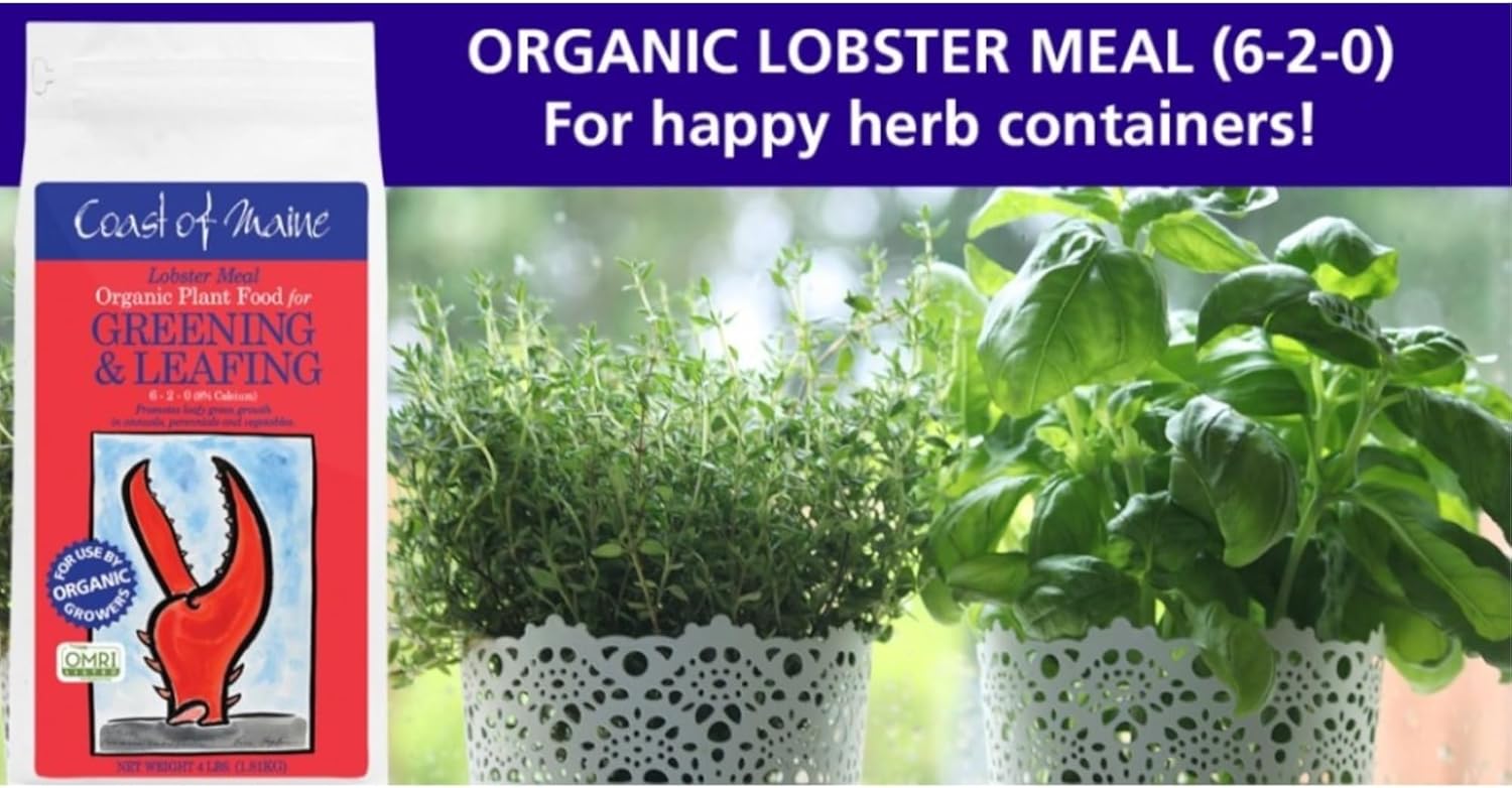 Coast of Maine Lobster Meal (4lb) Organic Plant Food and Calcium, OMRI Listed - for Green Leafy Growth