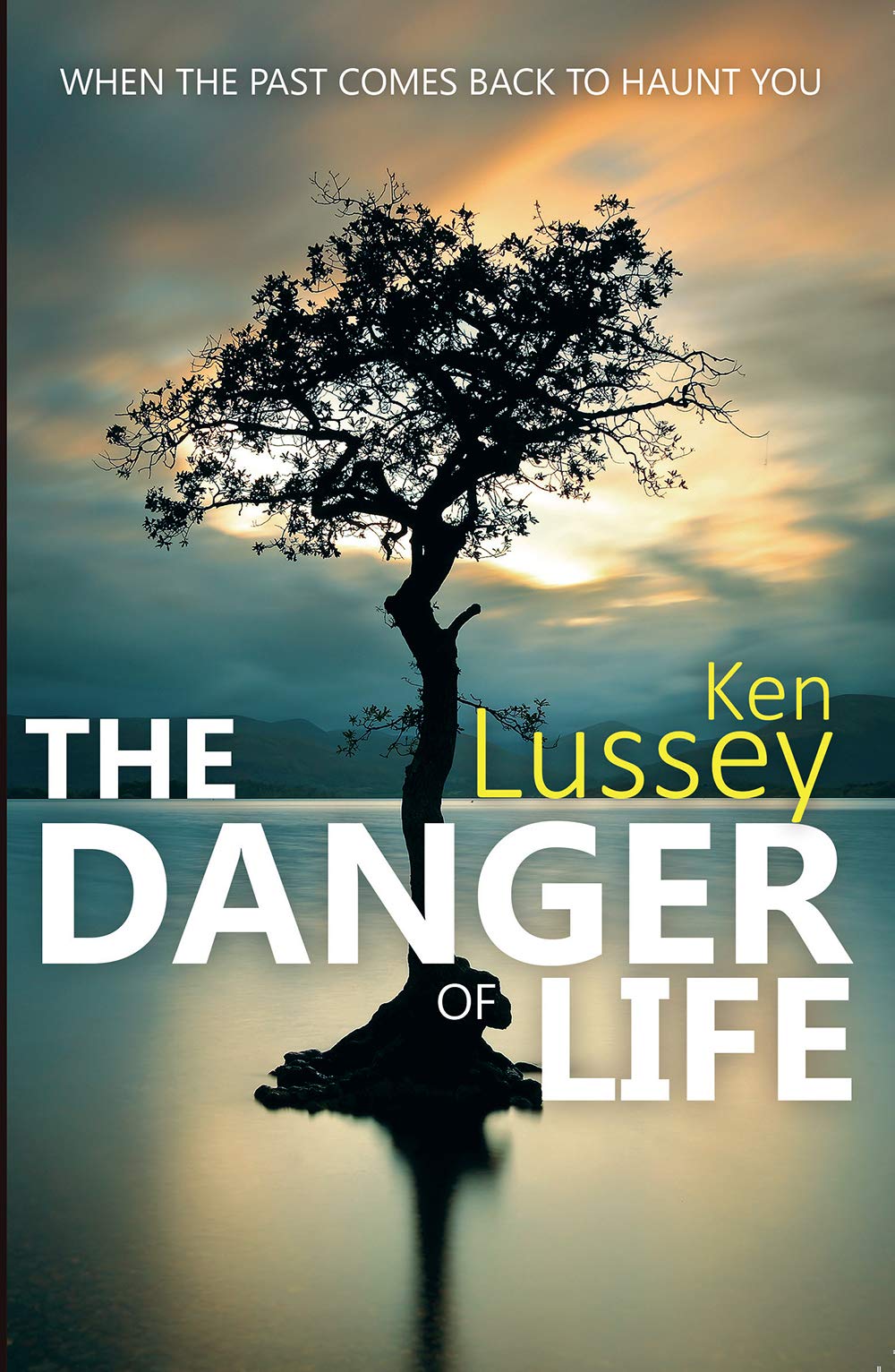 Buy The Danger of Life — BookShops.in