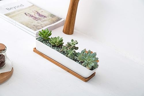 Miniatura 8 de Sea Star - Maceta moderna rectangular minimalista de cerámica blanca de 10 pulgadas para plantas suculentas para oficinas, escritorios, ventanas,