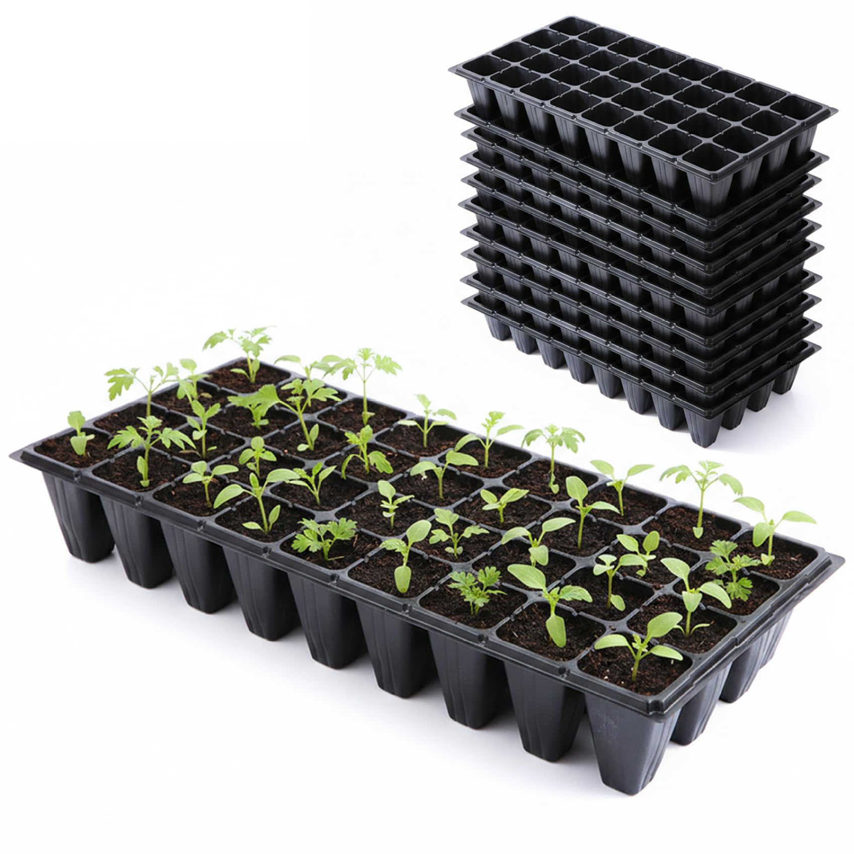 Ameble Black 10 Pack Seed Starter Tray 32 Cell Seedling Trays With Drainage Holes, Plastic Seed Starting Kit For Indoor Greenhouse Gardening, Plant Germination And Propagation