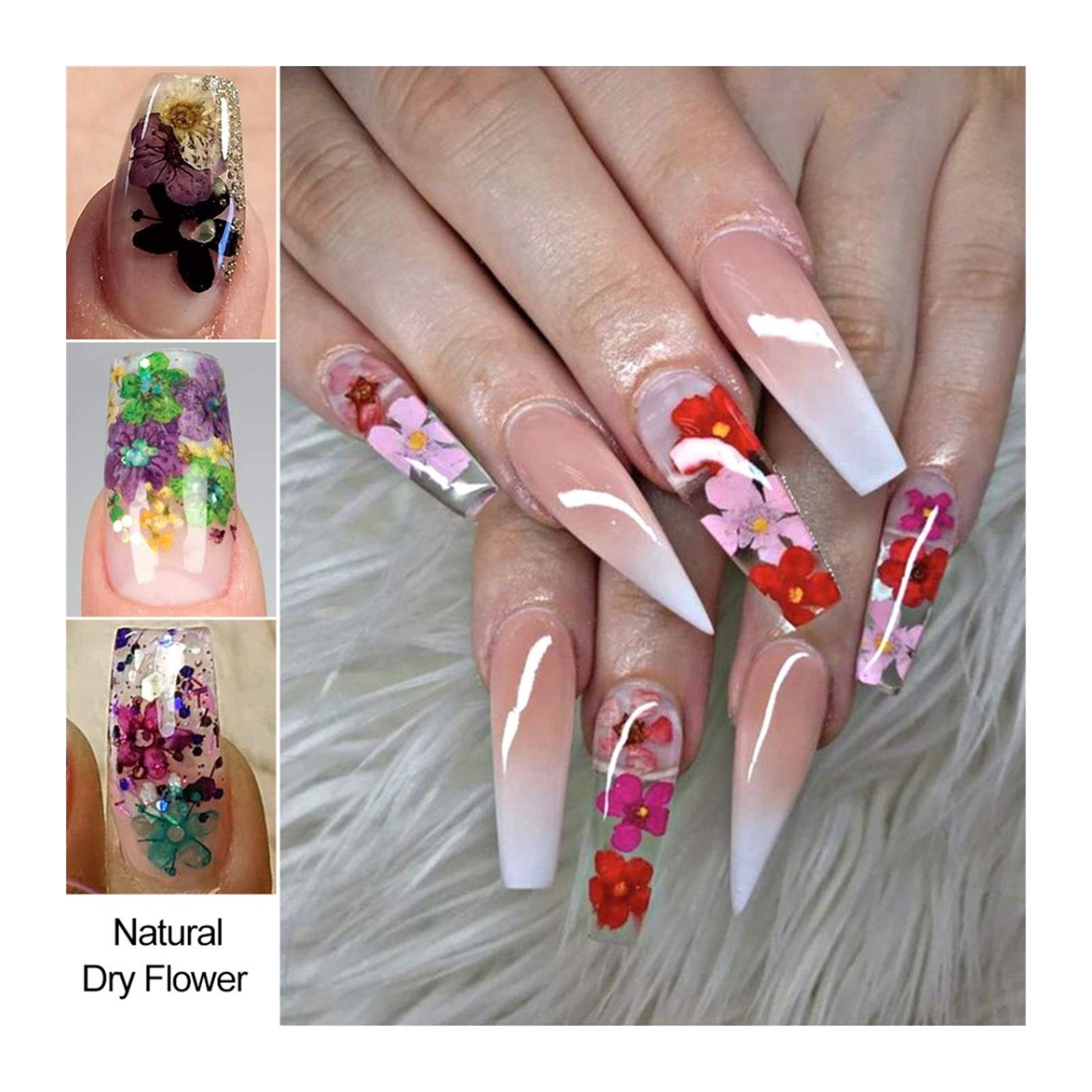 Amazon.co.jp: Zhi Zhi ドライフラワーネイルラインストーンセット