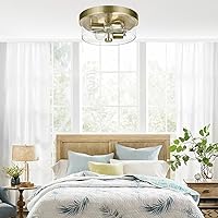 Vista 7 de Lámparas de techo de montaje empotrado, lámpara de techo de latón de 2 luces para granja con pantalla de vidrio sembrado, lámpara de techo