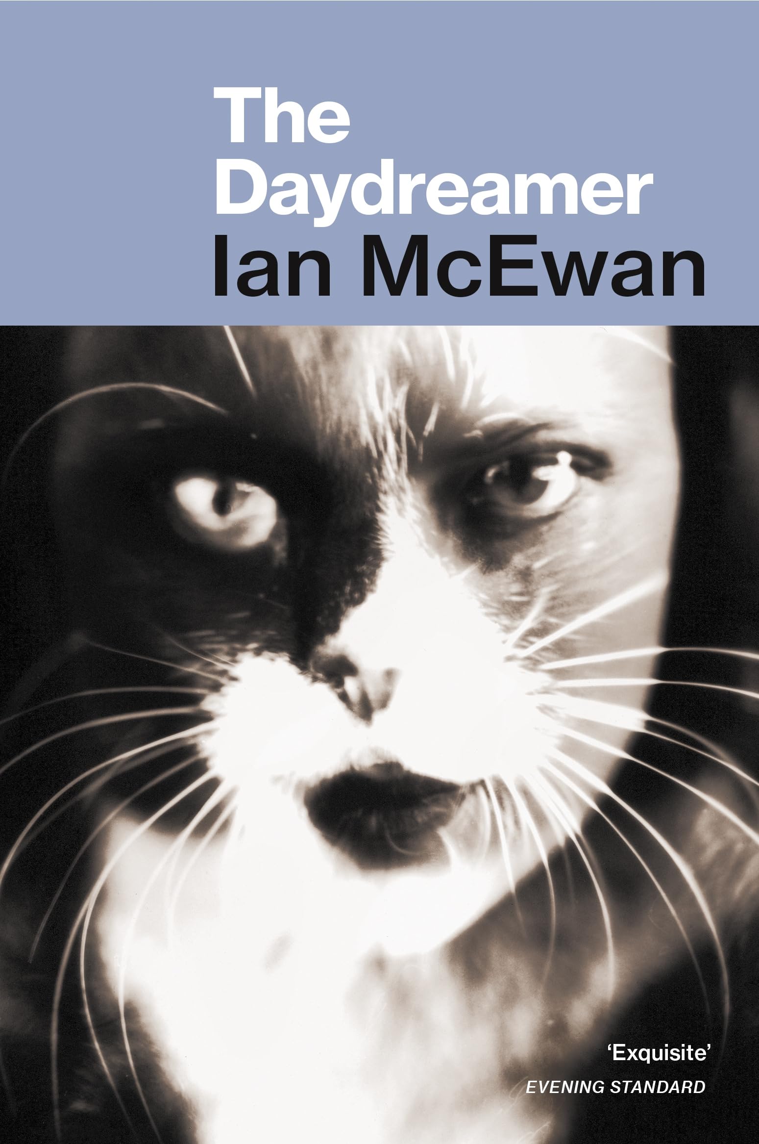 The Daydreamer By Ian McEwan. 9780099590613