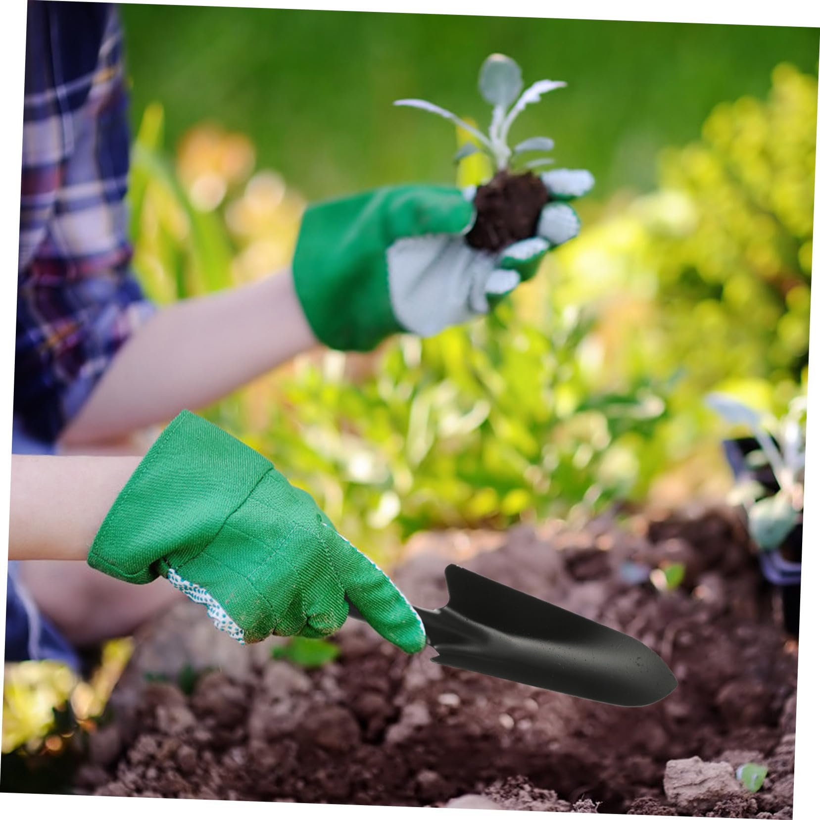 Fünf Stück Gartenschaufel für Umpflanzen und Graben, Eisen
