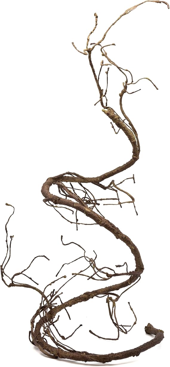 Pangea Reptile Ultimate Vine for Terrarium Habitat (Brown) | 6 ' Long Large Diameter Foam Vine for Reptile Enclosures, Bendable, Humidity Resistant, Bendy Offshoot Branches