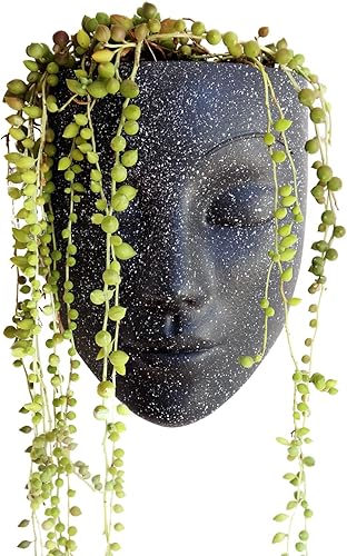 Macetero de pared | Macetas únicas para la cara, regalos de plantas para amantes de las plantas de interior, ideas de regalo de plantas suculentas,