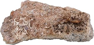 Golden Topaz Multi Crystal Rhyolite Host Rock Tepetate Mexico Specimen GTS1/1924