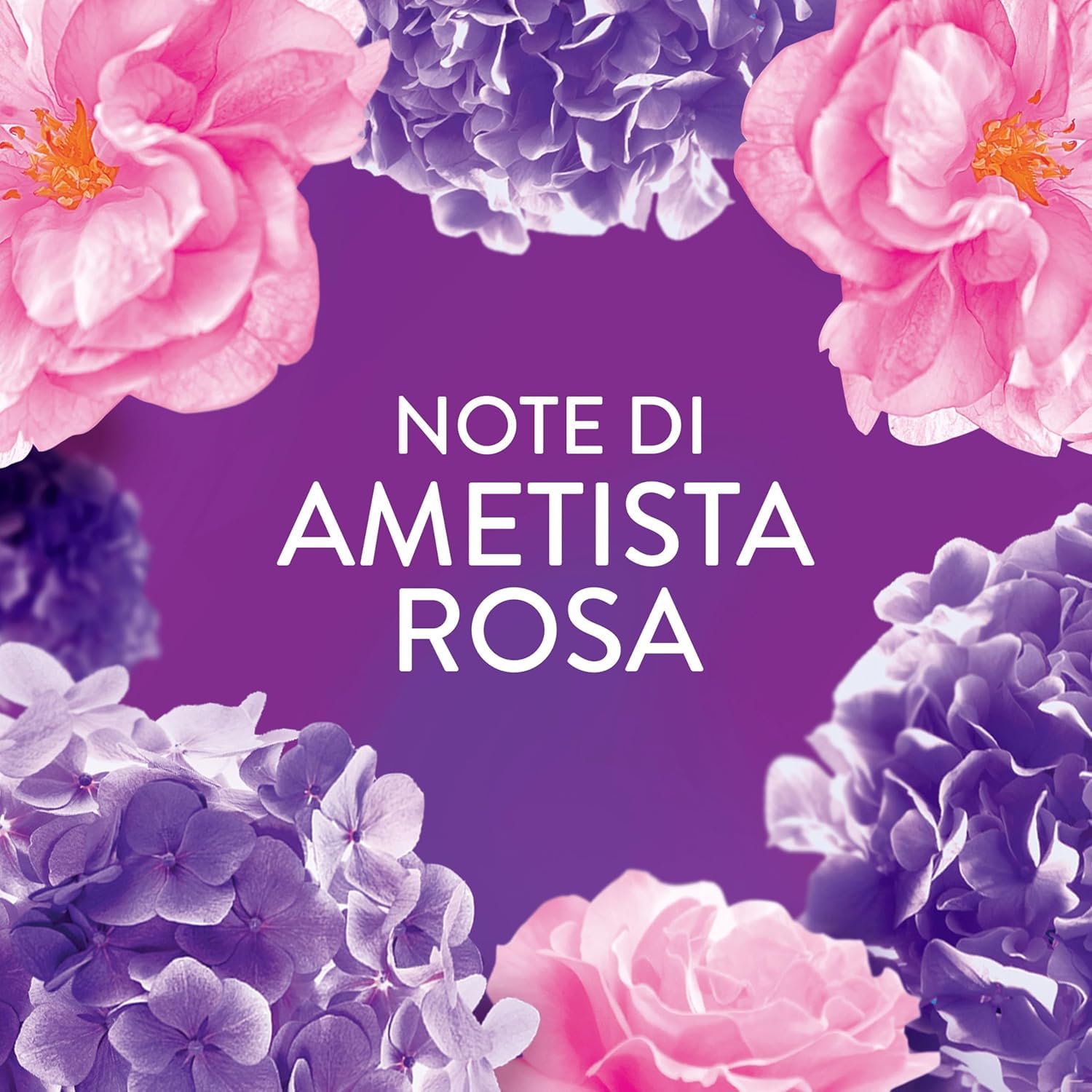 Italian Gourmet Wäscheparfüm Italian Gourmet Ametista Rosa Profumo per | Für Textilien in Waschmaschine, fragranza intensa durante il lavaggio, Gesamtnettogewicht 1,17 kg + Kostenlos Polpa 400g