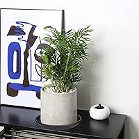 Vista 70 de 5 Packs Plant Saucer Pot Tray 6 8 10 12 14 16 19 20 Inch Plastic Flower Planter Saucers and Drip Trays for Indoors Outdoors, Heavy Durable Plant