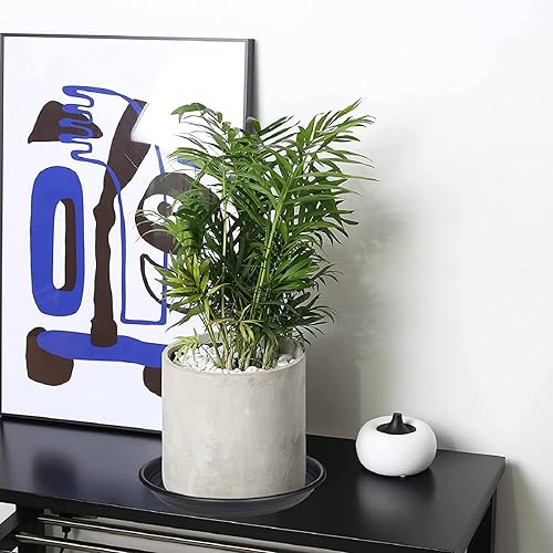 Vista 70 de 5 Packs Plant Saucer Pot Tray 6 8 10 12 14 16 19 20 Inch Plastic Flower Planter Saucers and Drip Trays for Indoors Outdoors, Heavy Durable Plant