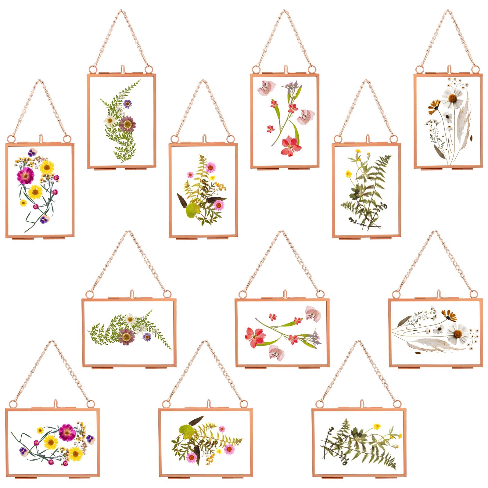 Kigley 12 Pcs Double Glass Frame for Pressed Flowers Floating Hanging Photo Frame 3.5 x 2.5 in Brass Clear Pressed Flower Decor with Chain for Display