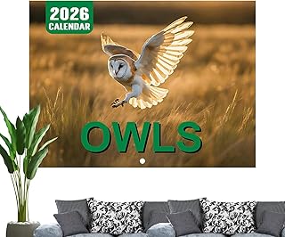 フクロウカレンダー - 2026年版12ヶ月間月始まりカレンダー,フクロウテーマ イラスト スケジュール管理 予定 目標 計画