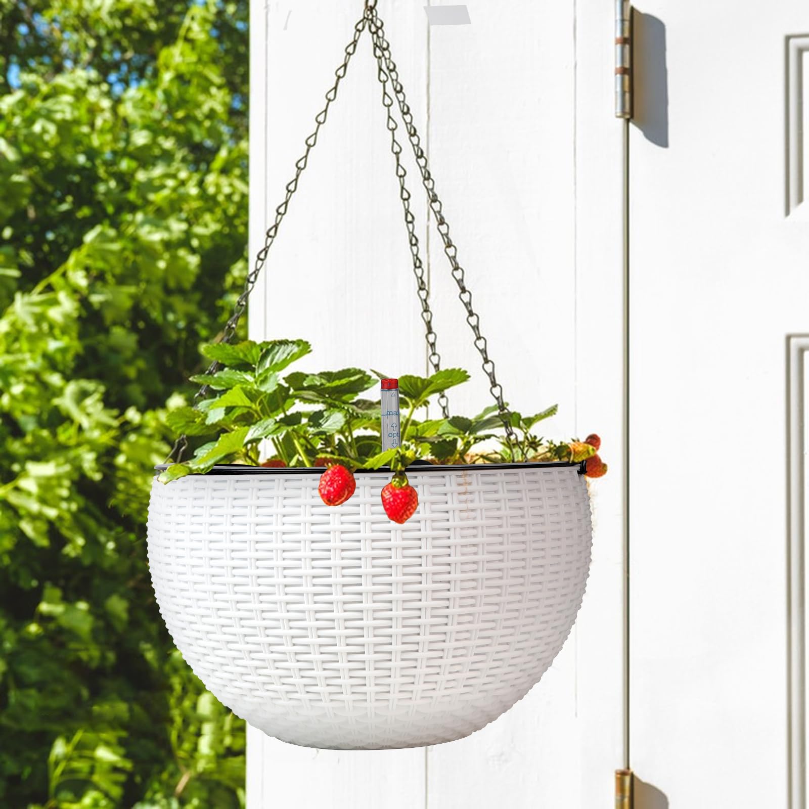 CPROSP 2tlg 28cm Selbstbewässerungstopf Hängend mit Wasserstandsanzeigen, Selbstwässernder Blumentopf, Blumenampel, Hängeblumentöpfe mit Drainagelöchern, Blumentopf Wasserspeicher mit Topf System