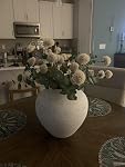 Review Image by Cynthia A. Lees